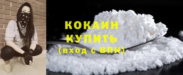 стаф Зерноград