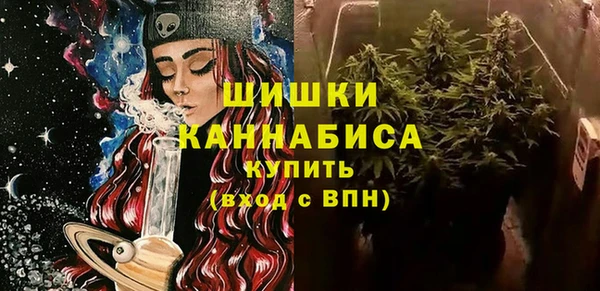стаф Зерноград