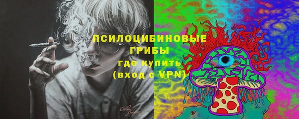 стаф Зерноград