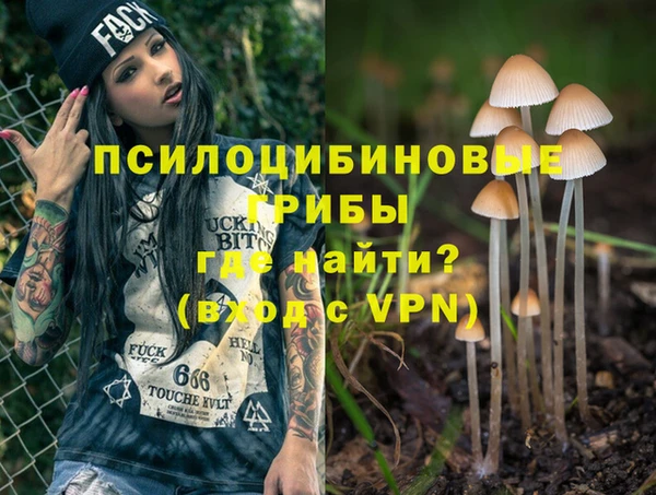 стаф Зерноград