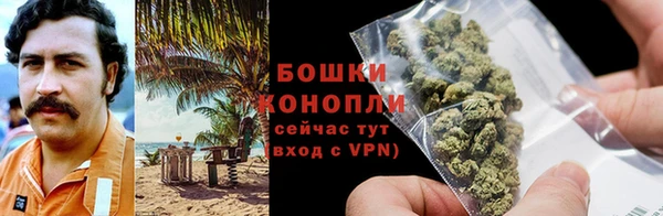 стаф Зерноград