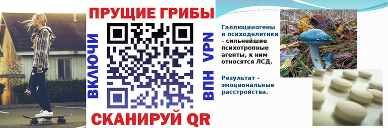 Псилоцибиновые грибы MAGIC MUSHROOMS  Купить где  Звенигово 
